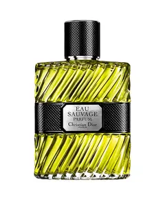 Dior Eau Sauvage Eau de Parfum 100ml | Eau De Parfum στο Aromatisou
