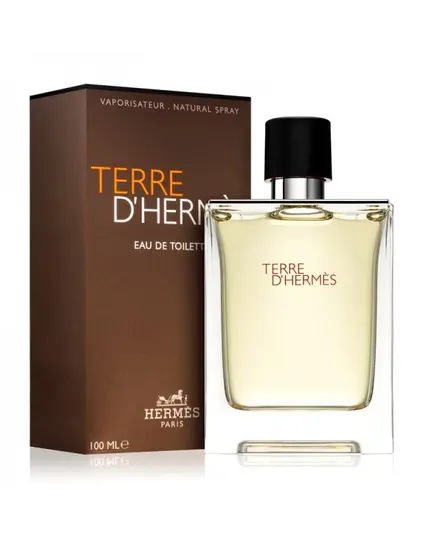Hermes Terre D'Hermes Eau de Toilette 100ml | Eau De Toilete στο Aromatisou