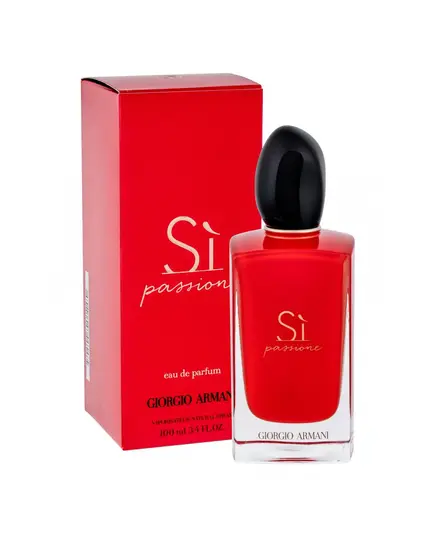 Giorgio Armani Passione Eau de Parfum 100ml | Eau De Parfum στο Aromatisou