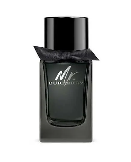 Burberry Mr Burberry Eau de Parfum 100ml (tester) | Ανδρικά Tester στο Aromatisou