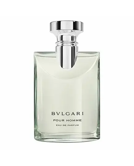 Bvlgari Pour Homme Eau de Parfum 100ml | Eau De Parfum στο Aromatisou