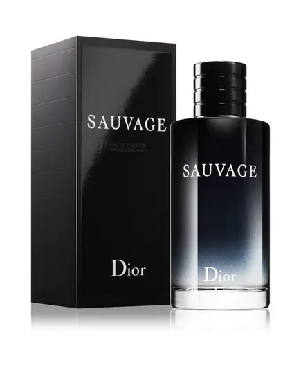 Christian Dior Sauvage Eau De Toilette 100ml | Eau De Toilete στο Aromatisou