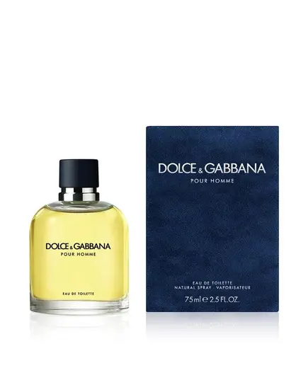 Dolce & Gabbana Pour Homme Eau de Toilette 75ml | Eau De Toilete στο Aromatisou
